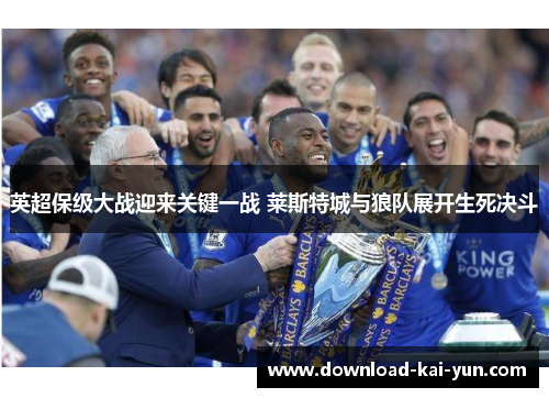 英超保级大战迎来关键一战 莱斯特城与狼队展开生死决斗