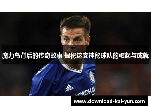 魔力鸟背后的传奇故事 揭秘这支神秘球队的崛起与成就